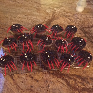 Chocolate cupcake spiders
